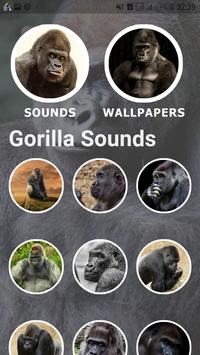 Gorilla Sounds and Wallpapers poster
