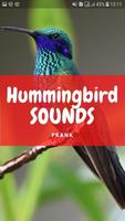 Hummingbird Sounds and Wallpapers Affiche