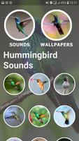 Hummingbird Sounds and Wallpapers capture d'écran 1