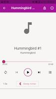 Hummingbird Sounds and Wallpapers capture d'écran 2