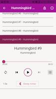 Hummingbird Sounds and Wallpapers capture d'écran 3