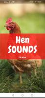 Hen Sound and Wallpapers पोस्टर