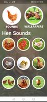 Hen Sound and Wallpapers स्क्रीनशॉट 1