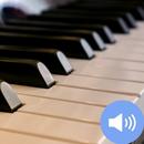 Piano Sounds and Wallpapers APK