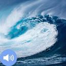 Tsunami Sounds and Wallpapers aplikacja