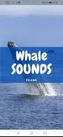 Whale Sounds and Wallpapers Affiche