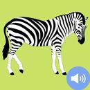 Zebra Sounds and Wallpapers APK