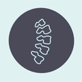 SpineCheck: a Posture Assessme