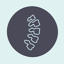 SpineCheck: a Posture Assessme APK