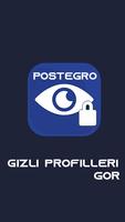 Postegro - LiLi постер