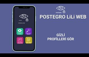 Postegro LiLi Web Ekran Görüntüsü 2