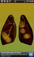 Quitting- Quit Smoking Assist syot layar 1
