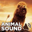 Animal Sound for Kids APK