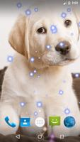 Puppy Live Wallpaper imagem de tela 1