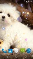 Puppy Live Wallpaper 截圖 2