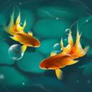Magic Touch KoiFish Live Wallp APK