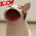Pop Cat Wallpaper 2021