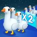 Animal Run