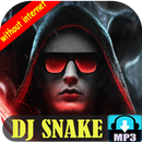 DJ Sn-aKe Songs 2020 APK