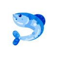 Tench