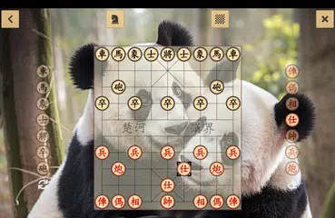 中國象棋 XAPK 下載