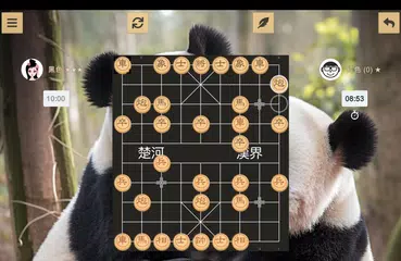 中國象棋 XAPK 下載