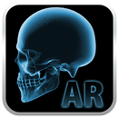 Popar Human Anatomy APK