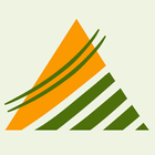 Oliver Insurance icono