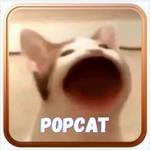POPCAT icon