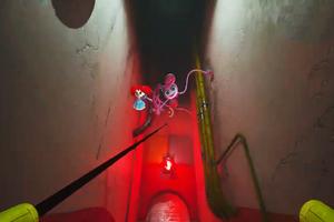 Poppy Playtime Chapter 2 imagem de tela 3