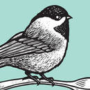 Chickadee Tea • Coffee • Eats APK