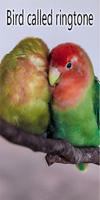 Bird disebut ringtone poster