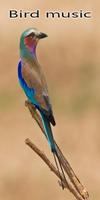 Bird disebut ringtone screenshot 1
