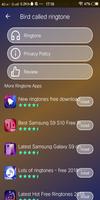 Bird disebut ringtone screenshot 2