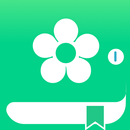 Holo green theme APK