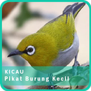 Koleksi Suara Pikat Burung Kecil Ampuh Mp3 Offline APK