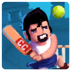 APK Crazy Cricket