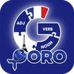 French GrammarーLessons・Tests آئیکن