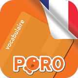 French Vocabulary APK