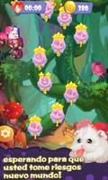 Pet Pop Poster
