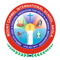 Mount Carmel International Sch