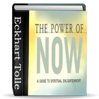 The power of now PDF book icône
