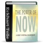 The power of now PDF book آئیکن