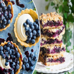 Blueberry Recipes 图标