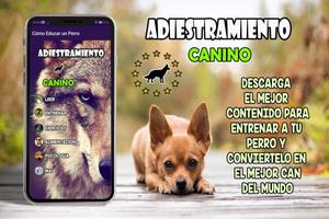 🐶 Adiestramiento Canino 🐶 Guía de entrenamiento 스크린샷 3