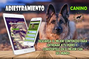 🐶 Adiestramiento Canino 🐶 Guía de entrenamiento স্ক্রিনশট 2