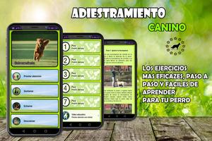 🐶 Adiestramiento Canino 🐶 Guía de entrenamiento captura de pantalla 1