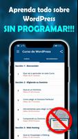 Curso de Wordpress en Español - 🌐 Sitios Web 🌐 ảnh chụp màn hình 1