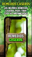 🍃 Remedios Caseros 🍃 - Plantas Medicinales 🌱 ポスター