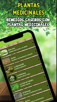 🍃 Remedios Caseros 🍃 - Plantas Medicinales 🌱 स्क्रीनशॉट 3